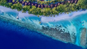 Lily Beach Resort  Ari Sud Maldive 4