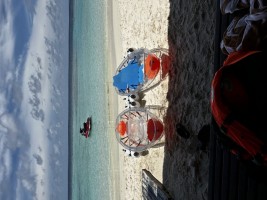 Lily Beach Resort  Ari Sud Maldive 51