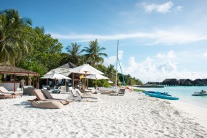 Lily Beach Resort  Ari Sud Maldive 72