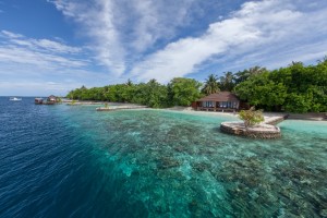 Lily Beach Resort  Ari Sud Maldive 86