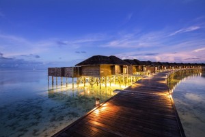 Lily Beach Resort  Ari Sud Maldive 114