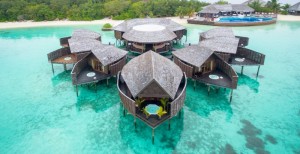 Lily Beach Resort  Ari Sud Maldive 134