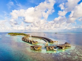 Lily Beach Resort  Ari Sud Maldive 151