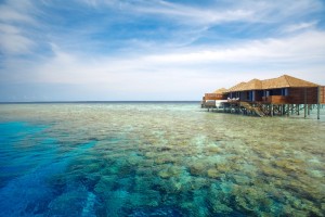 Lily Beach Resort  Ari Sud Maldive 170