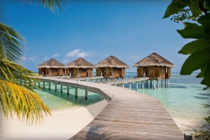 Lux* South Ari  Ari Sud Maldive 17