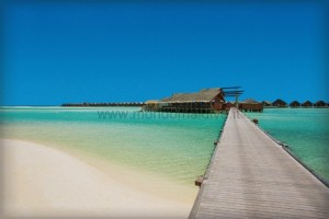 Lux* South Ari  Ari Sud Maldive 19