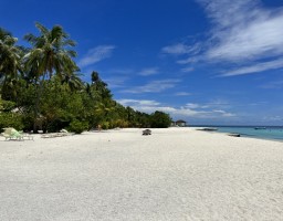 Maayafushi Maldives  Ari Nord Maldive 39