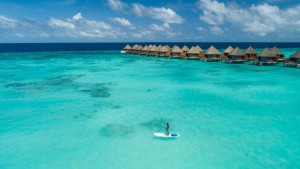 Mercure Maldives Kooddoo Resort  Gaafu Alifu Maldive 8