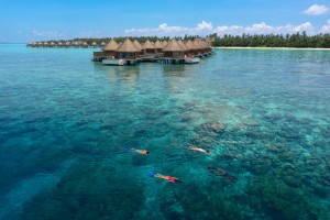 Mercure Maldives Kooddoo Resort  Gaafu Alifu Maldive 9