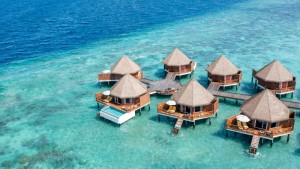 Mercure Maldives Kooddoo Resort  Gaafu Alifu Maldive 63