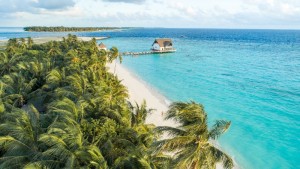 Mercure Maldives Kooddoo Resort  Gaafu Alifu Maldive 57