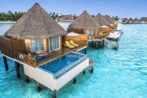 Mercure Maldives Kooddoo Resort  Gaafu Alifu Maldive 65