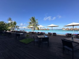 Mercure Maldives Kooddoo Resort  Gaafu Alifu Maldive 31