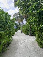 NOOE Maldives Kunaavashi  Felidhoo Maldive 7