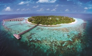 Outrigger Konotta Maldives Resort  Gaafu Dhaalu Maldive 4