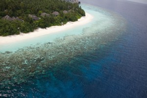 Outrigger Konotta Maldives Resort  Gaafu Dhaalu Maldive 7