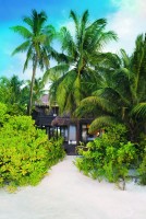 Outrigger Konotta Maldives Resort  Gaafu Dhaalu Maldive 18