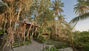 Park Hyatt Hadahaa  Gaafu Alifu Maldive 14