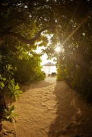 Park Hyatt Hadahaa  Gaafu Alifu Maldive 22