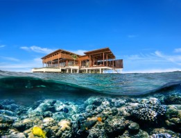 Park Hyatt Hadahaa  Gaafu Alifu Maldive 64