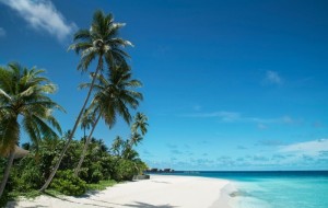 Park Hyatt Hadahaa  Gaafu Alifu Maldive 105