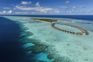 Pullman Maldives Maamutaa Resort  Gaafu Alifu Maldive 3