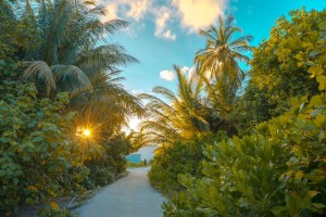 Rahaa Resort  Laamu Maldive 28