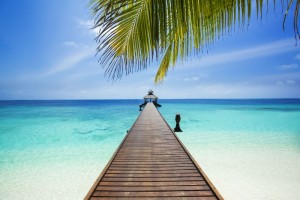 Reethi Beach Resort  Baa Maldive 12