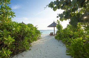 Reethi Faru Resort  Raa Maldive 36