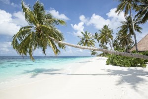 Reethi Faru Resort  Raa Maldive 26