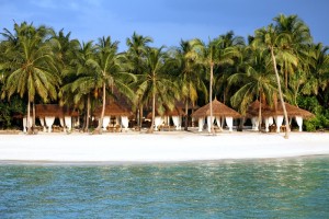 Reethi Faru Resort  Raa Maldive 51