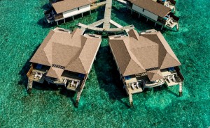 Reethi Faru Resort  Raa Maldive 76