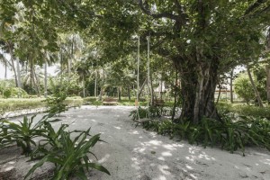 Reethi Faru Resort  Raa Maldive 103