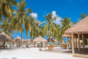 Reethi Faru Resort  Raa Maldive 100