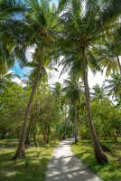 Rihiveli Maldives Resort  Male Sud Maldive 16