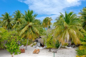 Rihiveli Maldives Resort  Male Sud Maldive 12