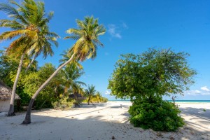 Rihiveli Maldives Resort  Male Sud Maldive 49