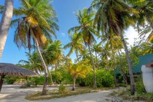 Rihiveli Maldives Resort  Male Sud Maldive 51