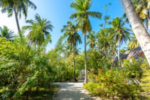 Rihiveli Maldives Resort  Male Sud Maldive 76