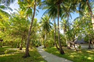 Rihiveli Maldives Resort  Male Sud Maldive 80