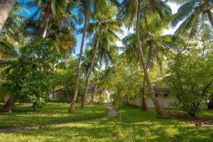 Rihiveli Maldives Resort  Male Sud Maldive 61