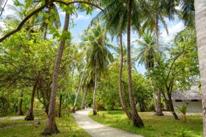 Rihiveli Maldives Resort  Male Sud Maldive 91