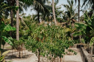 SAii Lagoon Maldives, Curio Collection by Hilton  Male Sud Maldive 40