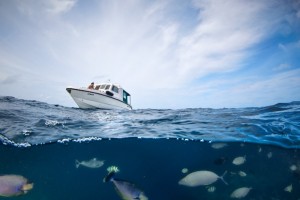 Soneva Fushi Resort  Baa Maldive 30