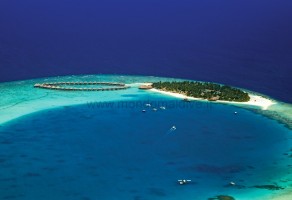 Sun Siyam Vilu Reef  Dhaalu Maldive 1