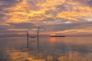 Sun Siyam Vilu Reef  Dhaalu Maldive 46
