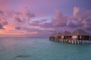 Sun Siyam Vilu Reef  Dhaalu Maldive 48