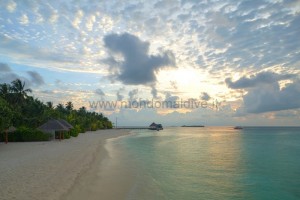Sun Siyam Vilu Reef  Dhaalu Maldive 47