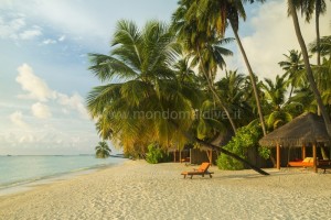 Sun Siyam Vilu Reef  Dhaalu Maldive 49