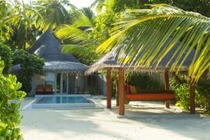 Sun Siyam Vilu Reef  Dhaalu Maldive 34